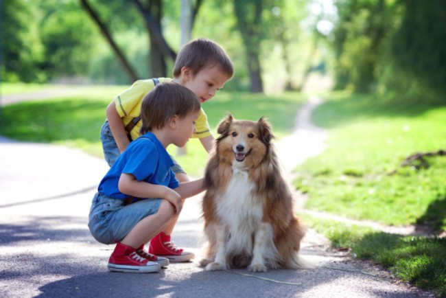 Вчені розповіли, як присутність собаки позначається на дітях