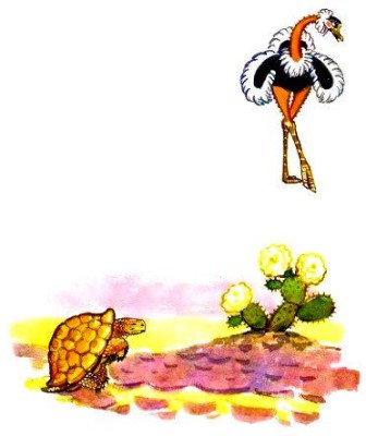 Страус і черепаха (Сергій Баруздін)