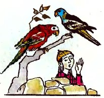 Папуги-оповідачки (таджицька казка)